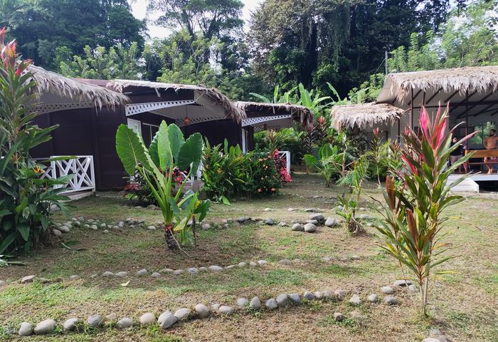 Cabañas con techo de palma entre el jardín