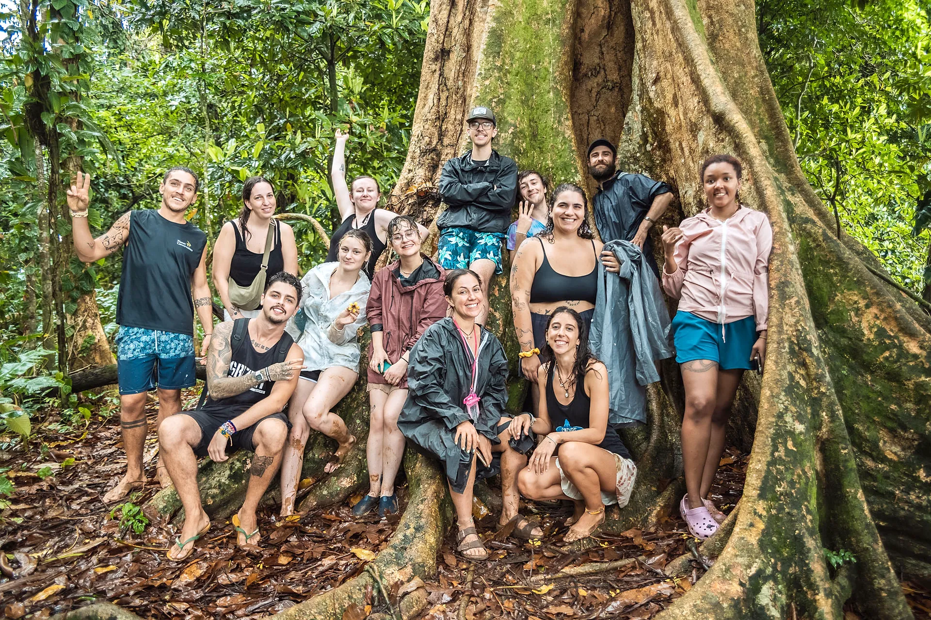 Grupo de voluntarios entre las raíces de un árbol gigante